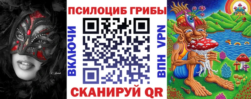 где продают наркотики Гатчина Псилоцибиновые грибы Psilocybe